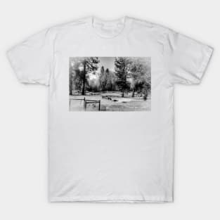 Snow Horses - Black And White T-Shirt